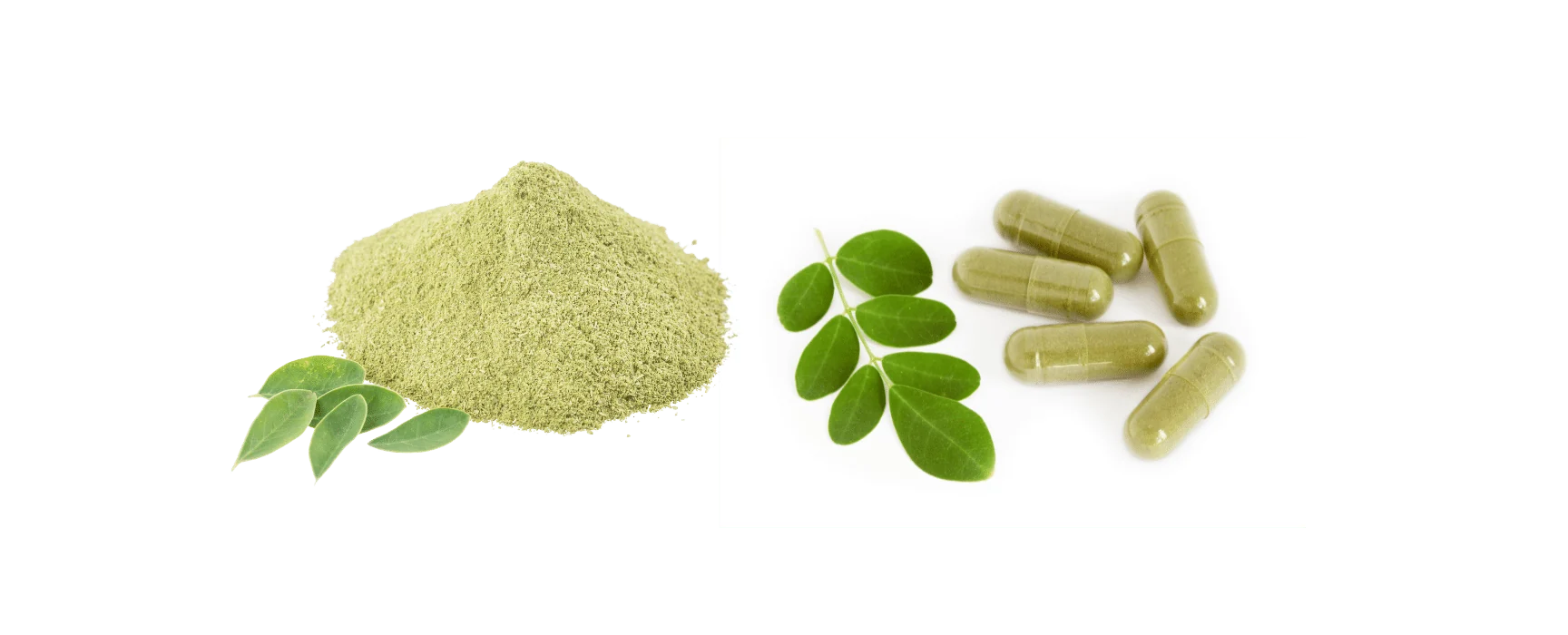 Moringa leaf powder with moringa leaves and capsules